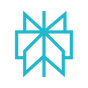 Perplexity logo